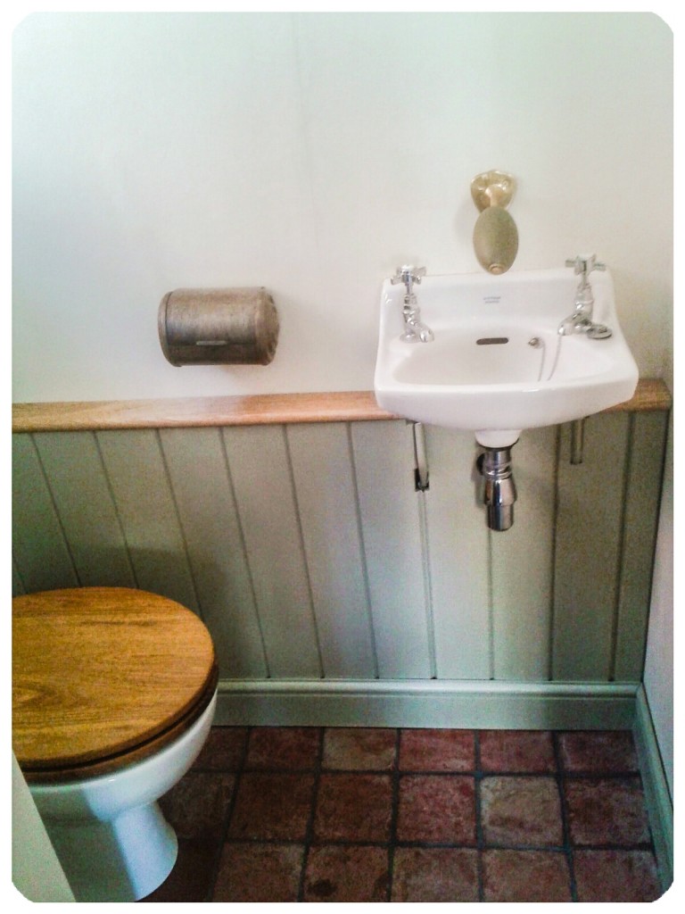 Small downstairs toilet solution